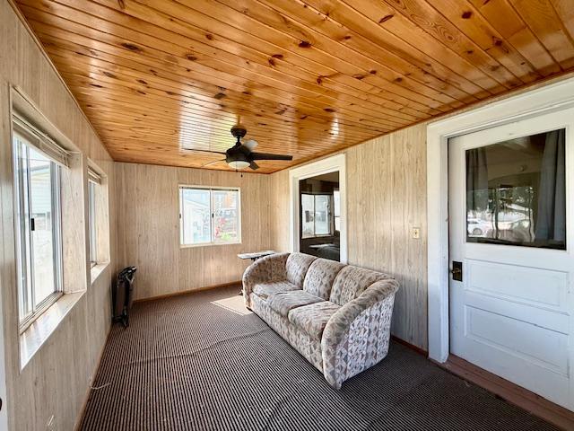307 Main St E, Caledonia, MN 55921 - photo 27