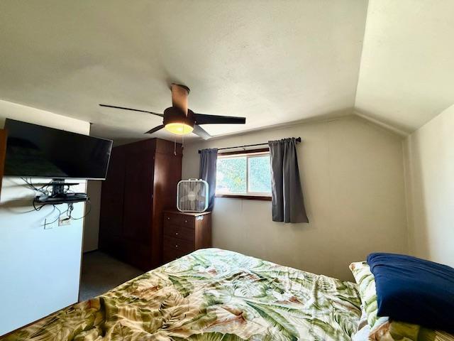 307 Main St E, Caledonia, MN 55921 - photo 34