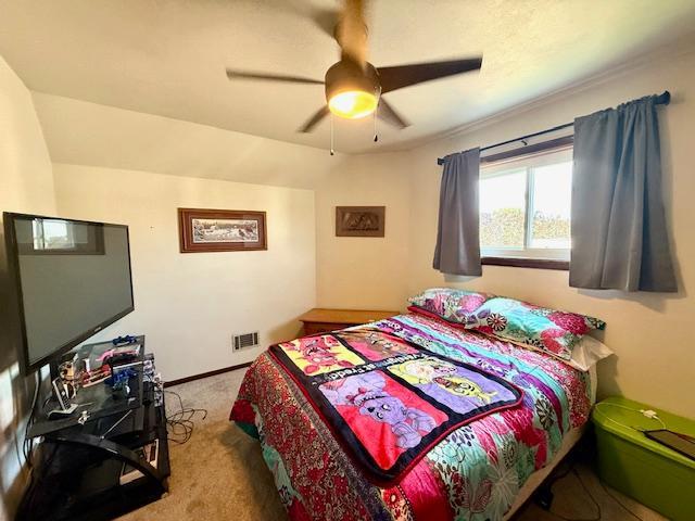 307 Main St E, Caledonia, MN 55921 - photo 38