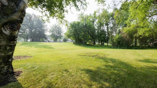 27701 County Road 141, Detroit Lakes, MN 56501 - photo 67