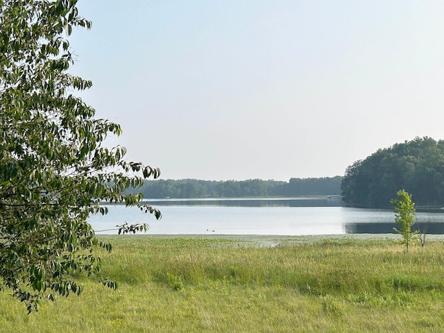 136XX Maple Ln, Deerwood, MN 56444 - photo 2