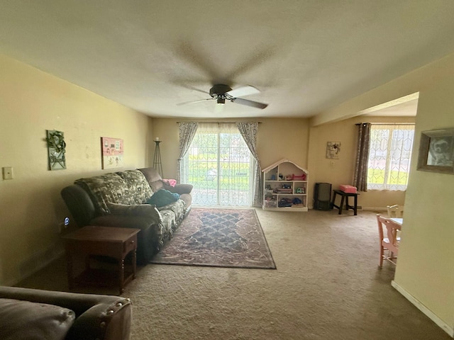 531 1st St, Morton, MN 56270 - photo 12