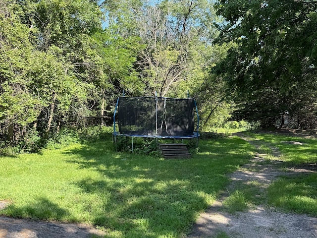 531 1st St, Morton, MN 56270 - photo 22