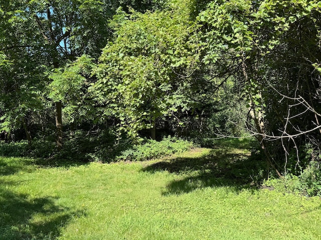 531 1st St, Morton, MN 56270 - photo 4