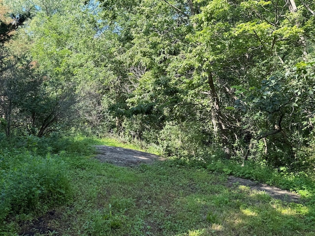 531 1st St, Morton, MN 56270 - photo 23