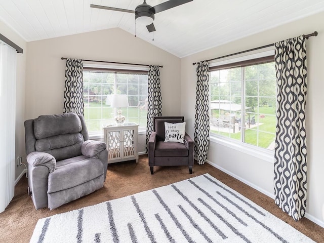 9451 Kirkwood Way N, Maple Grove, MN 55369 - photo 17