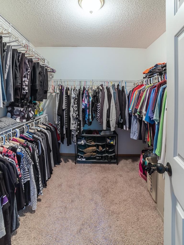 9451 Kirkwood Way N, Maple Grove, MN 55369 - photo 42