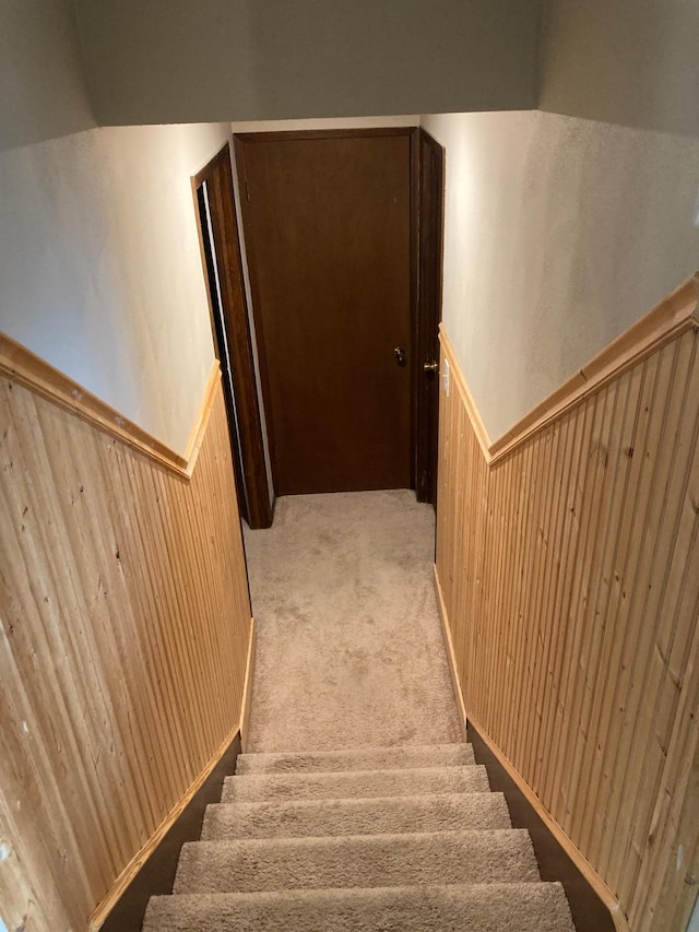 680 Lynwood St SW, Owatonna, MN 55060 - photo 30