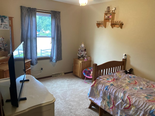 680 Lynwood St SW, Owatonna, MN 55060 - photo 26