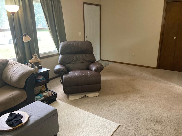 680 Lynwood St SW, Owatonna, MN 55060 - photo 15