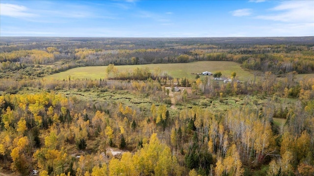 36466JUNIPERRD Deer Riv, Morse Twp, MN 56636 - photo 22