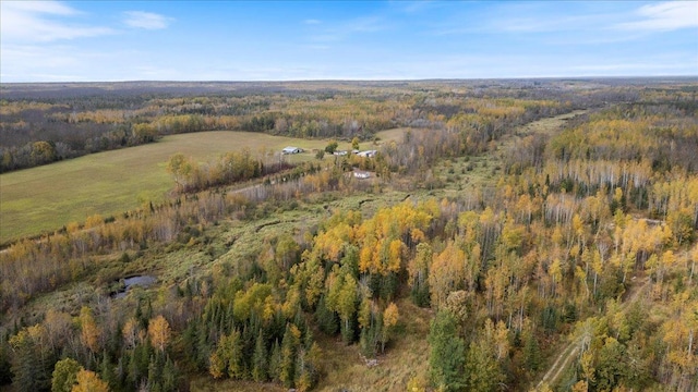 36466JUNIPERRD Deer Riv, Morse Twp, MN 56636 - photo 23