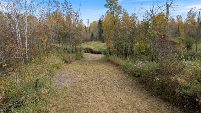 36466JUNIPERRD Deer Riv, Morse Twp, MN 56636 - photo 28