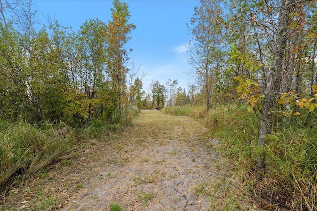 36466JUNIPERRD Deer Riv, Morse Twp, MN 56636 - photo 32