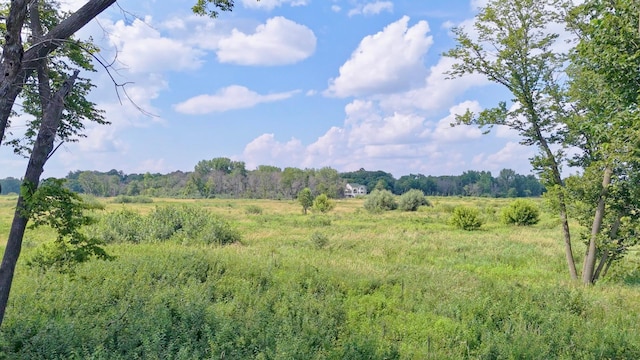 3577 110th Ln NE, Blaine, MN 55449 - photo 43