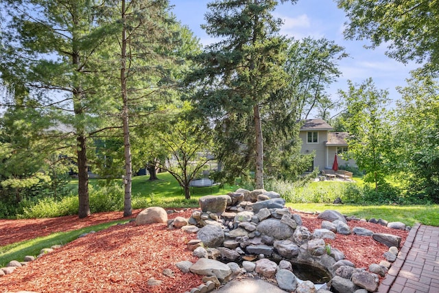 7951 Island Rd, Eden Prairie, MN 55347 - photo 35