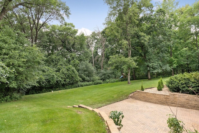 241 Starrwood, Hudson, WI 54016 - photo 47