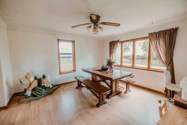725 110th St, Manyaska Twp, MN 56171 - photo 12