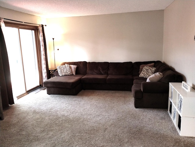 133 Canabury Ct, Little Canada, MN 55117 - photo 4