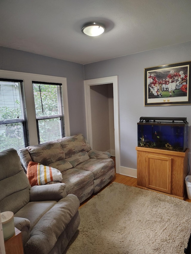 613 Vernon Ave, Fergus Falls, MN 56537 - photo 16