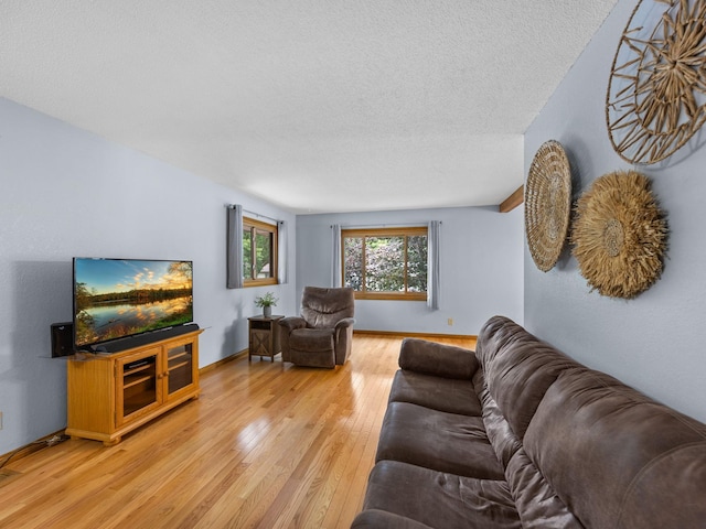 135 Knollwood St W, Annandale, MN 55302 - photo 8