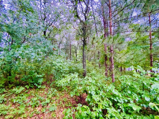 0 N Point Dr, Minong, WI 54859 - photo 1