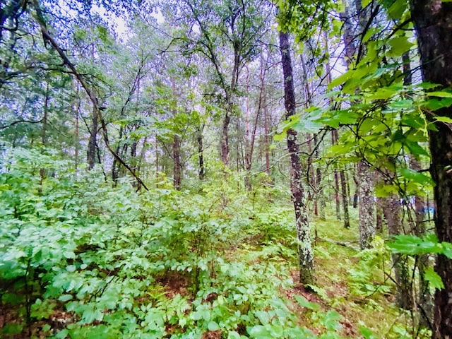 0 N Point Dr, Minong, WI 54859 - photo 2
