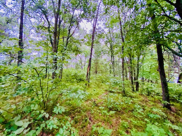0 N Point Dr, Minong, WI 54859 - photo 4