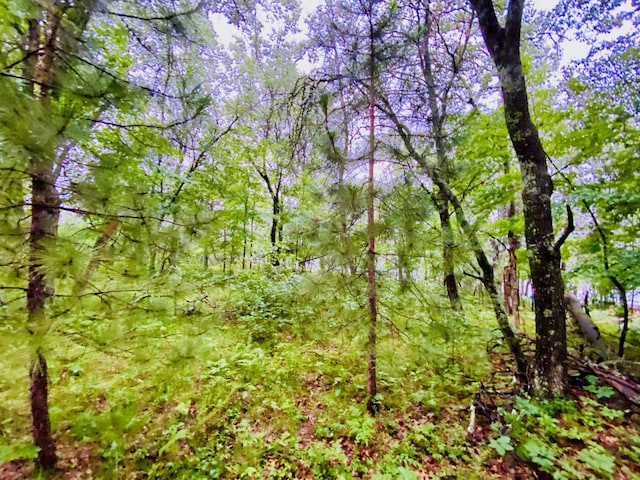 0 N Point Dr, Minong, WI 54859 - photo 5