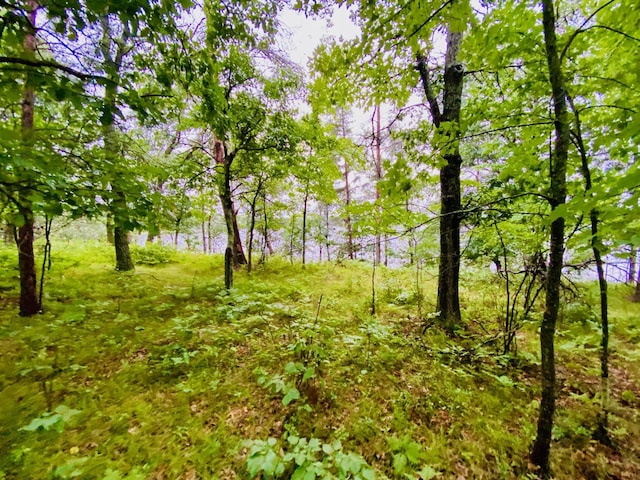 0 N Point Dr, Minong, WI 54859 - photo 7