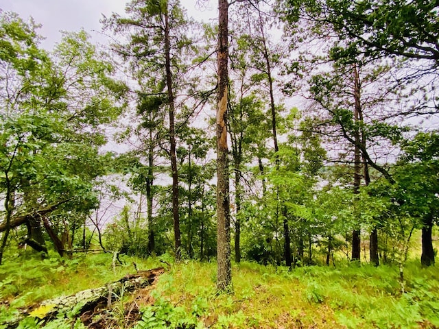 0 N Point Dr, Minong, WI 54859 - photo 8