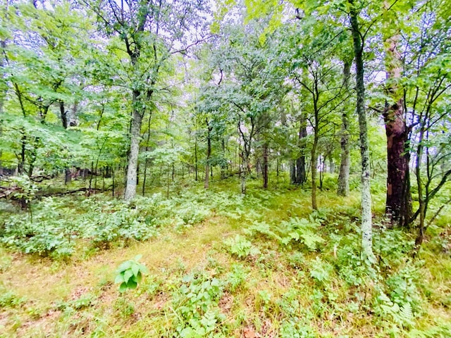 0 N Point Dr, Minong, WI 54859 - photo 10