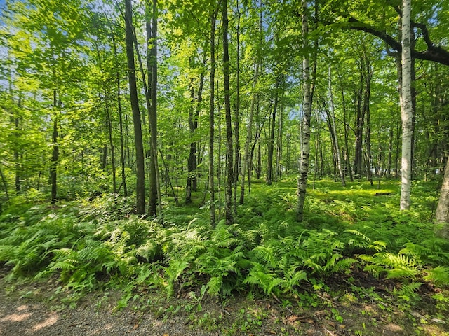 28017 303rd Pl, Aitkin, MN 56431 - photo 1