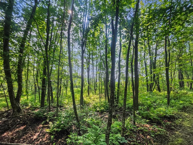 28017 303rd Pl, Aitkin, MN 56431 - photo 2