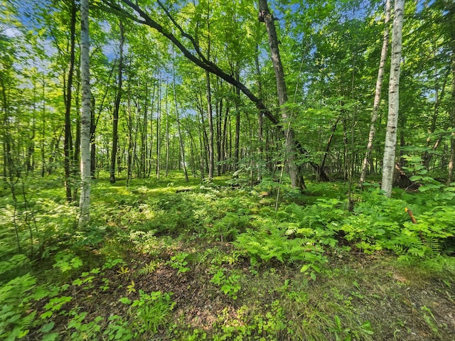 28017 303rd Pl, Aitkin, MN 56431 - photo 6