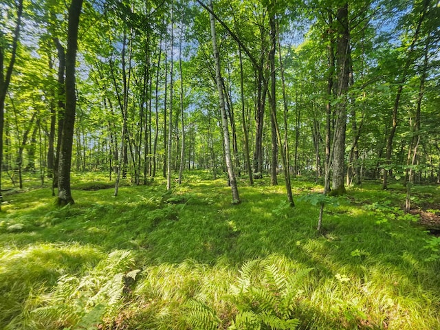 28017 303rd Pl, Aitkin, MN 56431 - photo 7