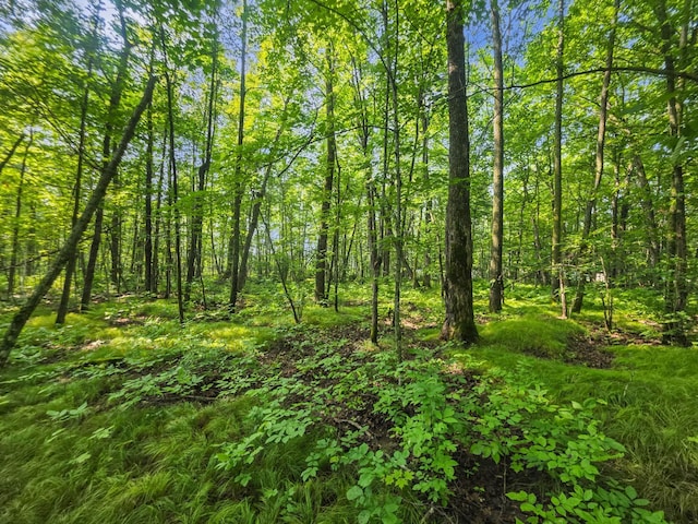 28017 303rd Pl, Aitkin, MN 56431 - photo 8