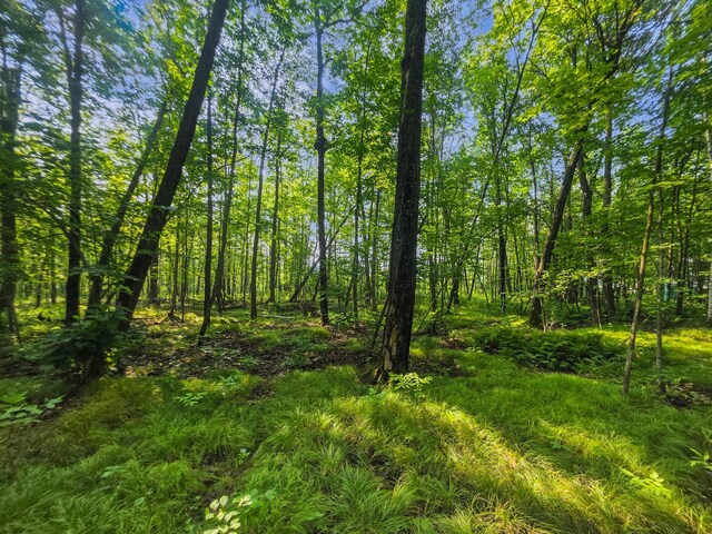 28017 303rd Pl, Aitkin, MN 56431 - photo 9