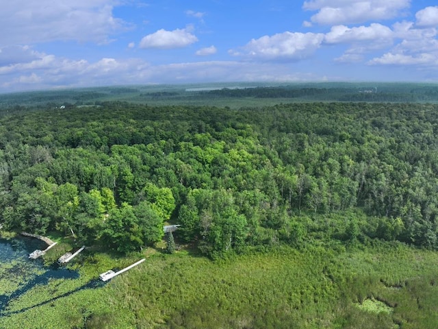 28017 303rd Pl, Aitkin, MN 56431 - photo 13