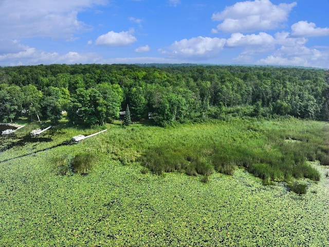 28017 303rd Pl, Aitkin, MN 56431 - photo 15