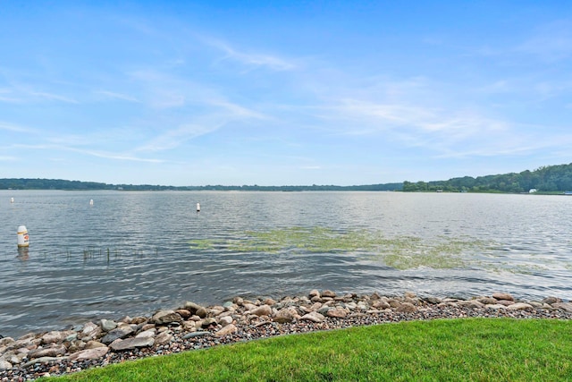 12620 182nd St N, Scandia, MN 55047 - photo 5