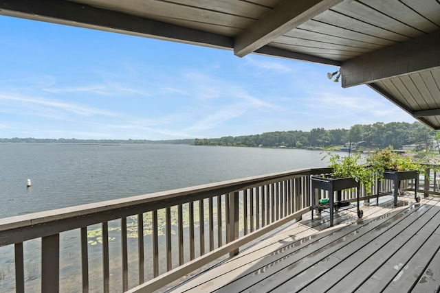 12620 182nd St N, Scandia, MN 55047 - photo 76