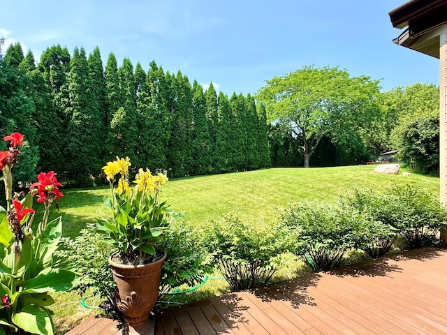 5795 Otter Lake Rd, White Bear Twp, MN 55110 - photo 8