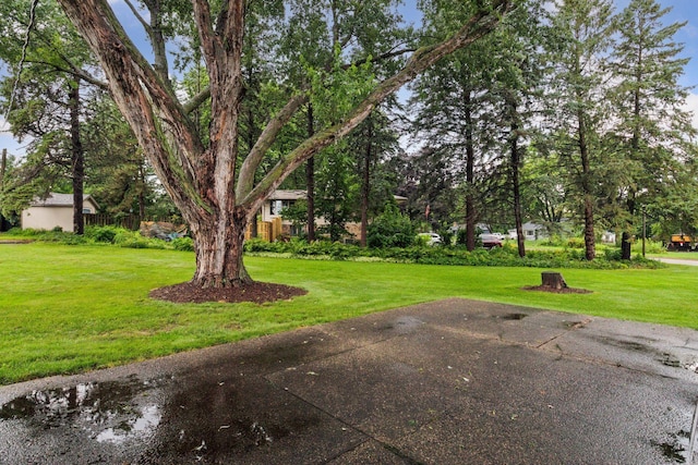 7683 Stillwater Way N, Oakdale, MN 55128 - photo 47