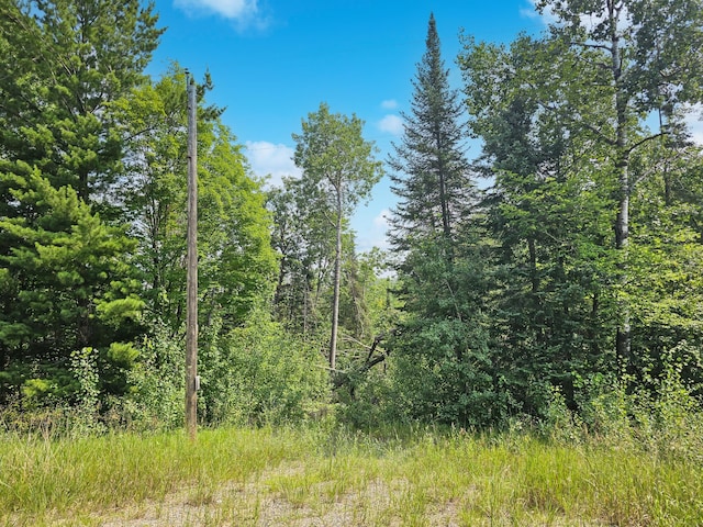 TBD Lower Ten Mile Lake Rd NW, Hackensack, MN 56452 - photo 3