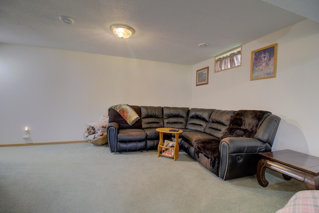 210 Birch Ter, Ashby, MN 56309 - photo 28