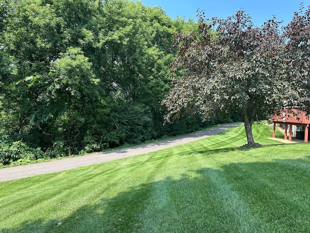 178 Primrose Ct, Vadnais Heights, MN 55127 - photo 4