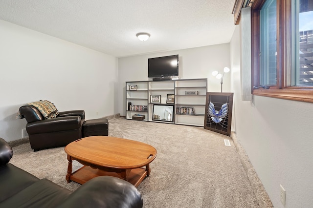 109 Lone Oak Ct, Waite Park, MN 56387 - photo 4