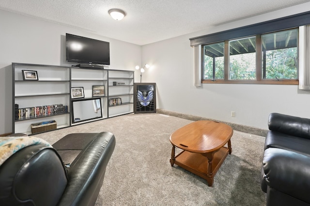 109 Lone Oak Ct, Waite Park, MN 56387 - photo 5