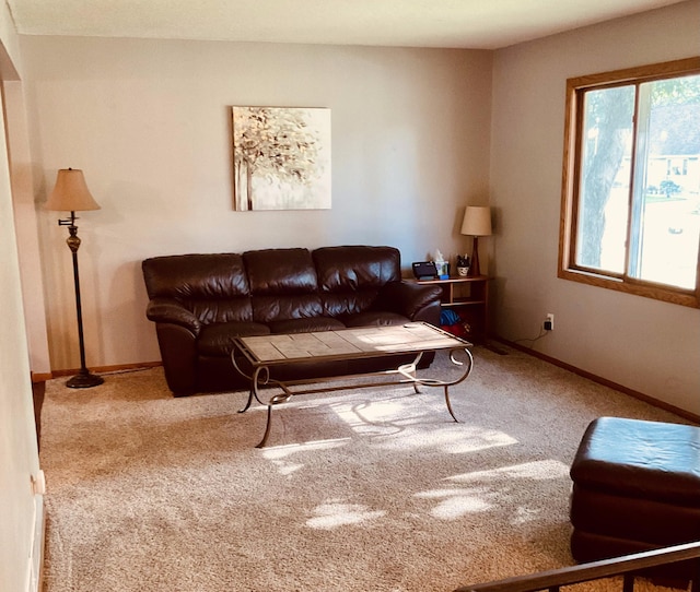 11918 Utah Ave N, Champlin, MN 55316 - photo 6